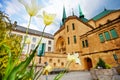 White flowers, Notre-Dame Cathedral, Luxembourg