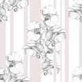 White flowers orchid. Floral seamless pattern. Royalty Free Stock Photo