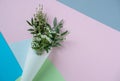 White flowers in paus tracing paper cone on colored paper background
