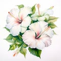 White Dream: Hand-painted Hibiscus Watercolor On White Background