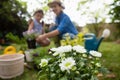 White flowers in pot with mother and daughter in background