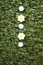 White flowers pushpins Royalty Free Stock Photo