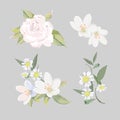 White flowers, roses, jasmine and others. Isolated drawings.