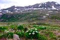 White flowers, snow capped mountains and storm clouds. Royalty Free Stock Photo