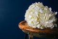 White Flowers on Stool Royalty Free Stock Photo