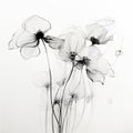 Elegant Black And White Flower Art: Translucent Layers And Delicate Ink Lines