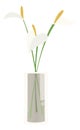 White flowers in vase. Peace lily green branches