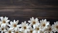 White flowers on wooden background. Top view. Space for text