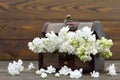 White flowers in the wooden vintage chest Royalty Free Stock Photo