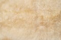 White fluffy animal fur, top view. White goat fur texture Royalty Free Stock Photo