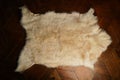 White fluffy animal fur, top view. White goat fur texture