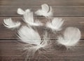 White fluffy bird feather on a wooden background. The texture of a delicate feather. soft focus Royalty Free Stock Photo