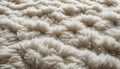 A white, fluffy carpet with a pattern of small circles
