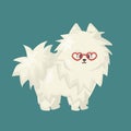 White Fluffy Cartoon Happy Isolated Vector Flat Dog On Blue Or Green Background. Side View Of Animal. Red Heart Eyeglasses Are For