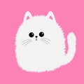 White fluffy cat icon. Face head body, plush tail. Kitten fat. Cute cartoon character. Kawaii baby pet animal. Notebook cover, Royalty Free Stock Photo