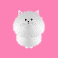 White fluffy cat icon. Fat kitten. Face head body. Kawaii baby pet animal. Cute cartoon character. Happy Valentines day. Greeting Royalty Free Stock Photo