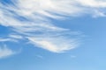 White fluffy cirrus clouds in a stratosphere. Light fiber like spindrift clouds high in the blue summer sky. Different cloud types Royalty Free Stock Photo