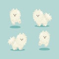 White fluffy cute cartoon happy isolated vector flat dog on blue or green background stands and runs