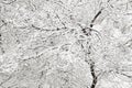 White fluffy freshly fallen snow on the black branches Royalty Free Stock Photo