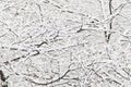 White fluffy freshly fallen snow on the black branches Royalty Free Stock Photo