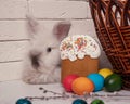 White fluffy rabbit lies. Easter gingerbread. Easter and colorful eggs. Willow twig and wicker basket Royalty Free Stock Photo