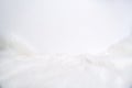 White fluffy rug and background with copy space to decorate text Royalty Free Stock Photo