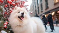 A white fluffy Samoyed dog sits on the street of a painted snowy Christmas city