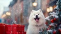 A white fluffy Samoyed dog sits on the street of a painted snowy Christmas city