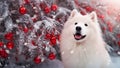 A white fluffy Samoyed dog sits on the street of a painted snowy Christmas city