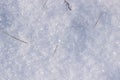 White fluffy snow and snowflakes glistening in the sun Royalty Free Stock Photo