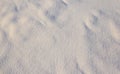 White fluffy snow, texture or background, top view Royalty Free Stock Photo