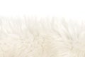 White fluffy wool texture isolated white background. natural fur texture. close-up for designers Royalty Free Stock Photo