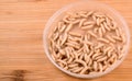 White fly larvae, maggots , close-up. Bait for anglers Royalty Free Stock Photo