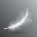 White Flying Bird Feather Isolated on Dark Background Royalty Free Stock Photo