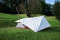 White flysheet cover tent on green grass ground in forest