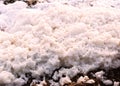 White foam accumulations on the shore near the water surface texture background, foam aggregates, scum, river froth, cumulus foam Royalty Free Stock Photo