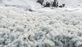 White foam accumulations on the shore near the water surface texture background, foam aggregates, scum, river froth, cumulus foam Royalty Free Stock Photo