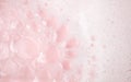 White foam bubbles texture on pink pastel background, copy space, banner for loundry, cleaning service, bathroom concept, clean, Royalty Free Stock Photo