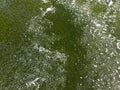 White foam on green dirty water surface. environmental pollution. aerial drone photo
