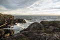 White, foamy waves crashing against coastal rocks at sunset on San Juan Island, WA Royalty Free Stock Photo