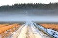 White Fog over Rural Road