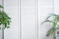 White folding louver screen, screen with indoor green plants