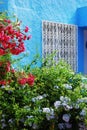 White forged patterned lattice and flowering plants