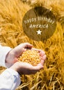 White fourth of July graphic in circle against cornfield and hands filled with corn Royalty Free Stock Photo
