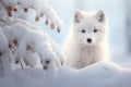 A white fox in a snowy forest exudes serene beauty. AI Generated