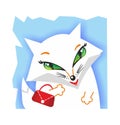 White Fox on blue background