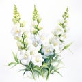 White Foxgloves Watercolor Painting: Realistic Floral Art For Youtube