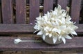 White fragant flowers in the vase on wooden chair in the garden Royalty Free Stock Photo