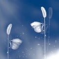 White fragile butterfly on a grass in a fantastic garden. Classic blue tone. Square format.