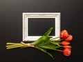 white frame on black background with tulip flowers Royalty Free Stock Photo